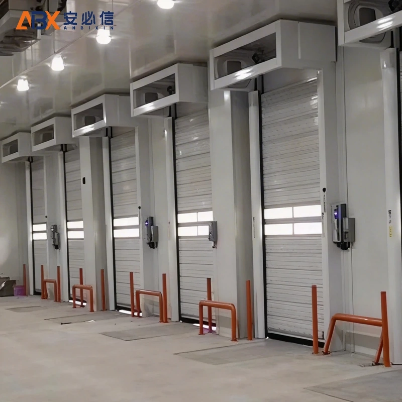拉萨市感应高速门
